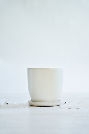 White Ceramic Pot with Saucer